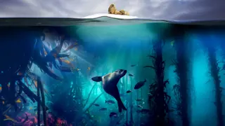 Poster for Blue Planet II