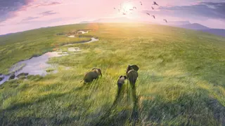 Poster for Planet Earth III