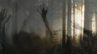 Poster for Paranormal Survivor