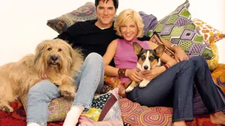 Poster for Dharma & Greg