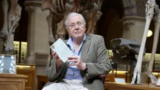 Poster for David Attenborough's Natural Curiosities