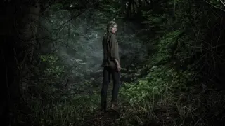 Poster for The Forest