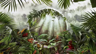 Poster for The Green Planet