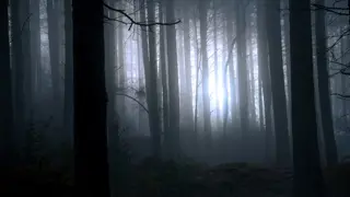 Poster for Finding Bigfoot