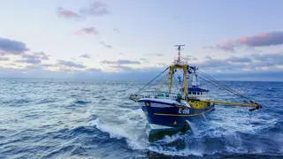 Poster for Trawlermen: Hunting the Catch