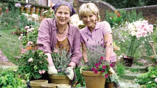 Poster for Rosemary & Thyme
