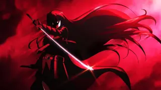 Poster for Akame ga Kill!