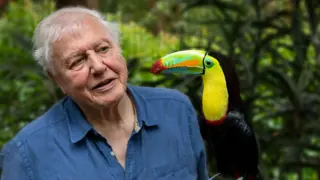 Poster for Attenborough's Life in Colour