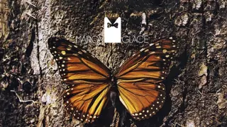 Poster for Marron Glacé