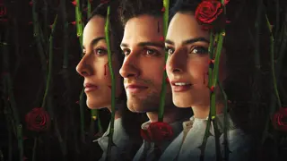 Poster for The House of Flowers