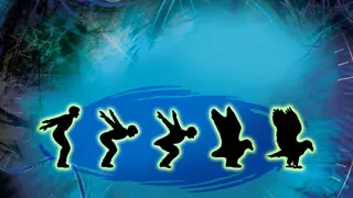 Poster for Animorphs