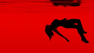Poster for Falling Water