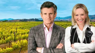 Poster for Under the Vines