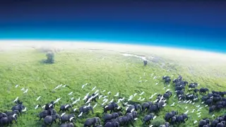 Poster for Planet Earth