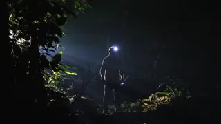 Poster for The Dark: Nature's Nighttime World
