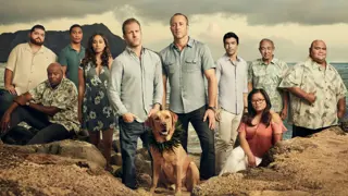 Poster for Hawaii Five-0
