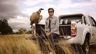 Poster for Richard Hammond's Miracles of Nature