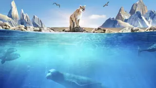 Poster for Patagonia: Life on the Edge of the World