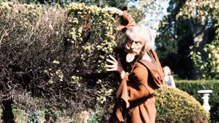 Poster for Catweazle