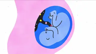 Poster for Sex, Explained